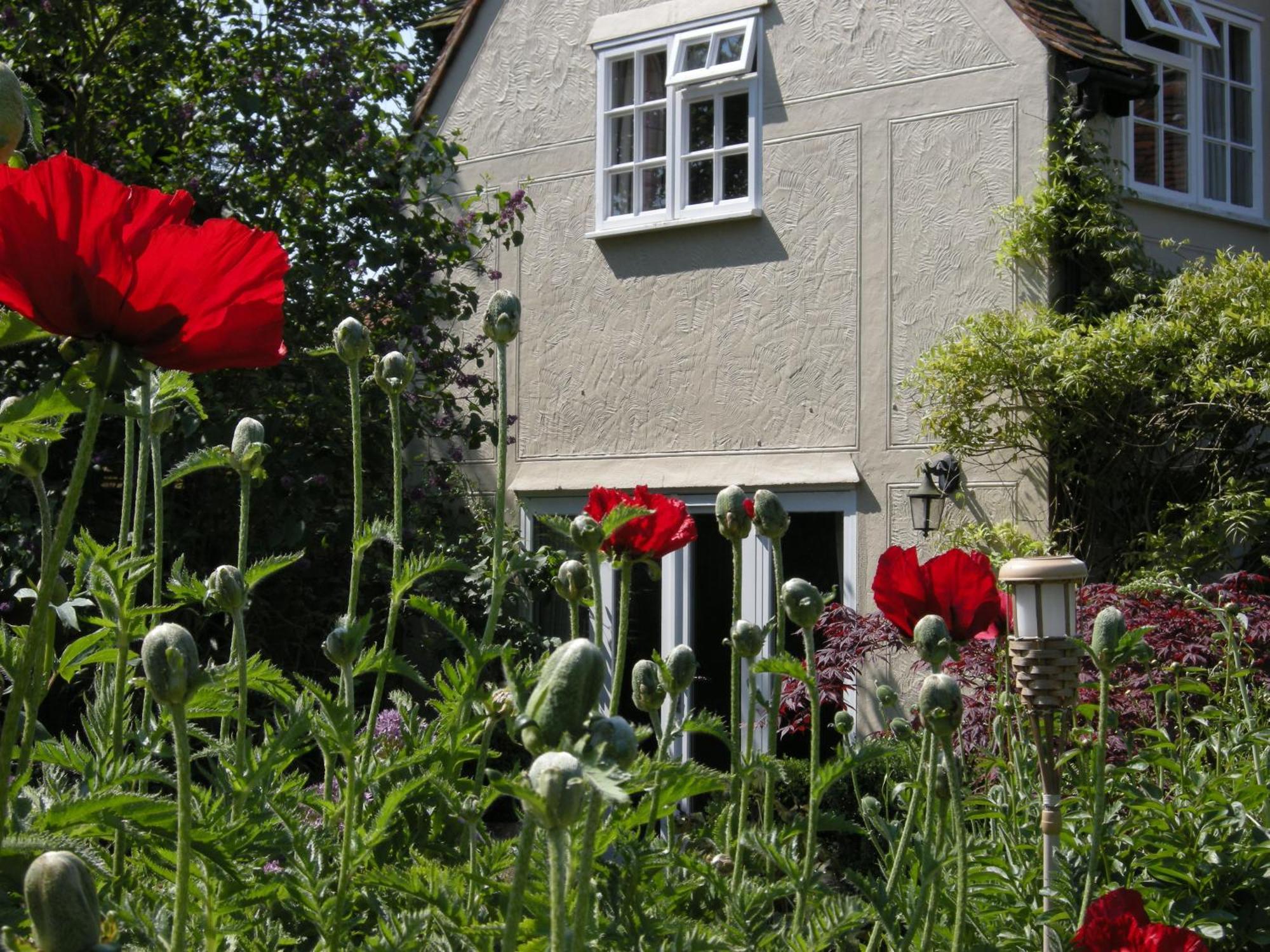 Motts Bed & Breakfast Great Dunmow Zewnętrze zdjęcie